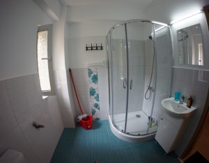Appartement 1 chambres à louer dans Cluj-napoca, zone Grigorescu