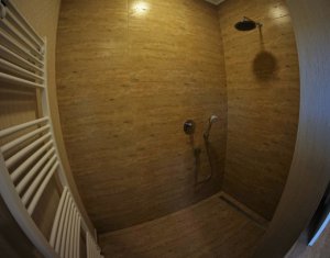 Maison 6 chambres à vendre dans Cluj-napoca, zone Borhanci