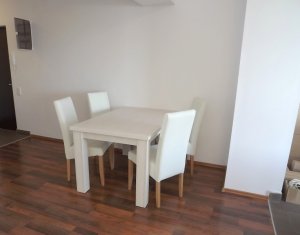 Appartement 2 chambres à louer dans Cluj-napoca, zone Plopilor