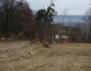 Telek eladó on Feleacu