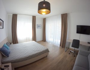 Appartement 1 chambres à louer dans Cluj-napoca, zone Zorilor