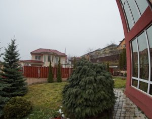 Ház 4 szobák kiadó on Cluj-napoca, Zóna Andrei Muresanu