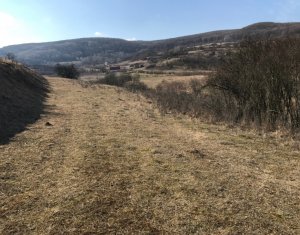 , 11600m2 on Floresti