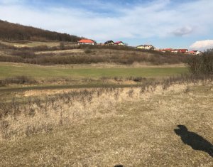 Telek eladó on Floresti