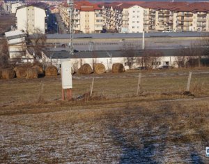 , 500m2 on Floresti