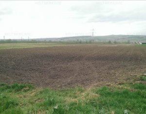 , 5800m2 on Cluj-napoca, Zóna Apahida