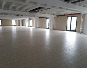 Espace Industriel à louer dans Cluj-napoca, zone Someseni