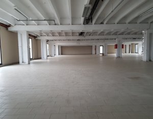 Espace Industriel à louer dans Cluj-napoca, zone Someseni