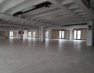 Espace Industriel à louer dans Cluj-napoca, zone Someseni