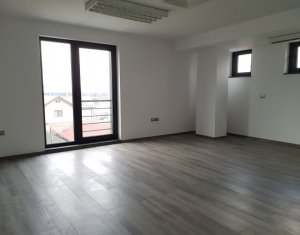 Espace Industriel à louer dans Cluj-napoca, zone Someseni