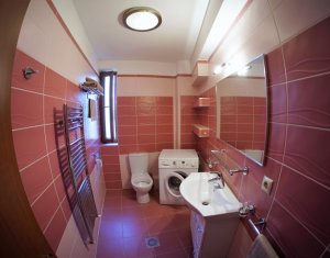 Appartement 3 chambres à louer dans Cluj-napoca, zone Buna Ziua