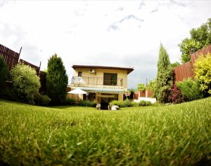 Maison 5 chambres à vendre dans Cluj-napoca, zone Gruia
