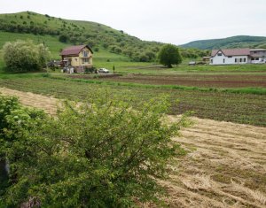 Maison 5 chambres à vendre dans Luna De Sus