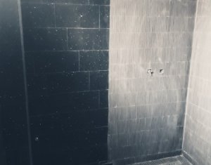 Maison 3 chambres à vendre dans Cluj-napoca, zone Manastur