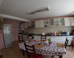 Maison 4 chambres à louer dans Cluj-napoca, zone Europa