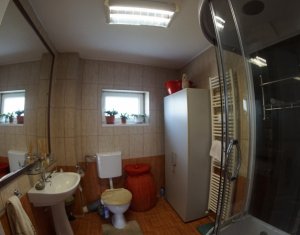 Maison 4 chambres à louer dans Cluj-napoca, zone Europa