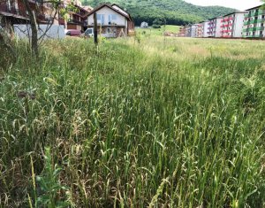 , 600m2 dans Floresti