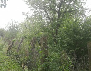 , 508m2 dans Cluj-napoca, zone Dambul Rotund