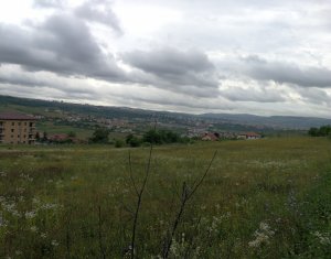 , 3000m2 dans Cluj-napoca, zone Borhanci