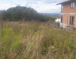 , 764m2 dans Cluj-napoca, zone Faget