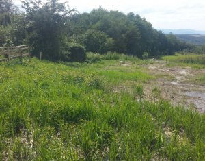 Terrain à vendre dans Cluj-napoca, zone Faget