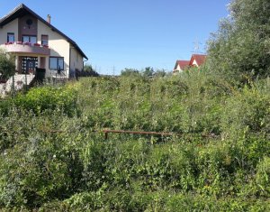 , 1305m2 dans Cluj-napoca, zone Buna Ziua