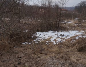 , 4169m2 dans Cluj-napoca, zone Faget
