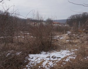 Terrain à vendre dans Cluj-napoca, zone Faget