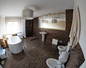 Espace Commercial à vendre dans Cluj-napoca, zone Andrei Muresanu
