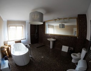 Espace Commercial à vendre dans Cluj-napoca, zone Andrei Muresanu