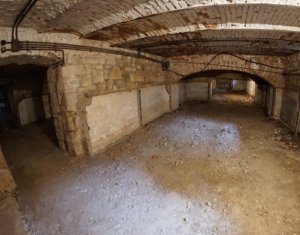 Espace Commercial à louer, 280m2 dans Cluj-napoca, zone Centru
