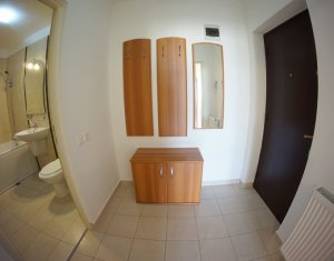 Appartement 1 chambres à louer dans Cluj-napoca, zone Zorilor