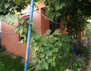 , 50m2 on Cluj-napoca, Zóna Dambul Rotund
