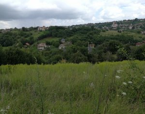 Telek eladó on Feleacu