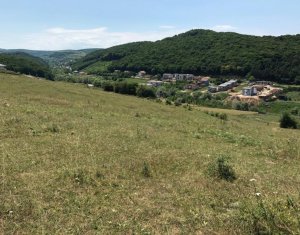 Telek eladó on Floresti
