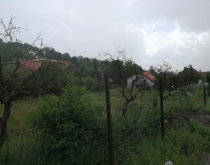, 446m2 on Feleacu