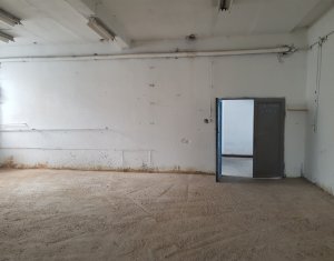 Espace Industriel à louer dans Cluj-napoca, zone Gara