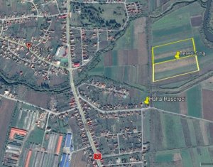 , 50000m2 dans Rascruci