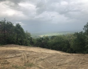 , 1230m2 dans Feleacu