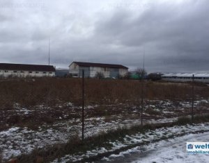 Terrain à vendre dans Cluj-napoca, zone Apahida