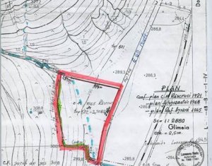Terrain à vendre dans Jucu