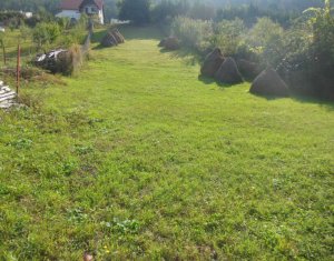 , 1300m2 on Floresti