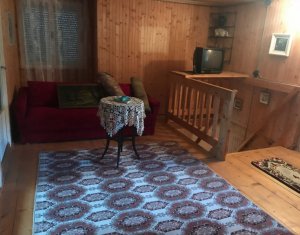 Maisons de vacances à vendre dans Maguri-racatau, zone Centru