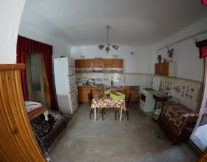 Maison 5 chambres à vendre dans Cluj-napoca, zone Gruia