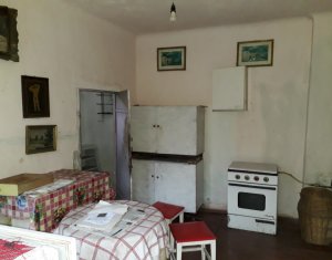 Maison 4 chambres à vendre dans Cluj-napoca, zone Marasti