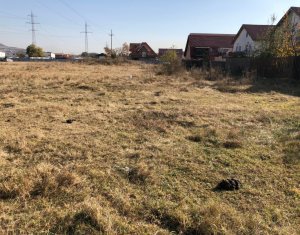 Terrain à vendre dans Floresti