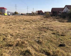 Terrain à vendre dans Floresti