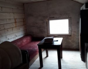 Espace Industriel à louer dans Cluj-napoca, zone Dambul Rotund