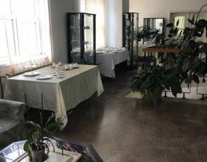 Bureau à louer dans Cluj-napoca, zone Iris