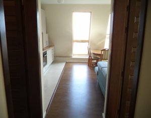 Appartement 3 chambres à louer dans Cluj-napoca, zone Marasti